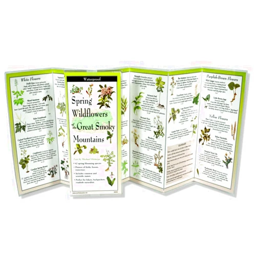 By Michael Digiorgio (Illustrator), Jessica Singerman (Illustrator), Michael Homoya (Contributor) & 0 more Earth Sky + Water FoldingGuide™ - Spring Wildflowers of the Smoky Mountains - 10 Panel Foldable Laminated Nature Identification Guide
