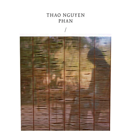 Lucia Aspesi,Fiammetta Griccioli,Thao Nguyen Phan,Andrea Lissoni,Han Nefkens,Roger Nelson Thao Nguyen Phan: Reincarnations of Shadows