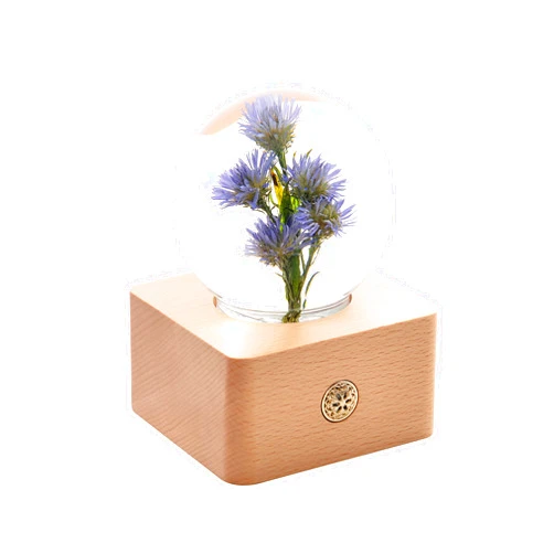 MISS LI GARDEN Forever Flowers Blue Aster in 3D Crystal Ball with LED Lights,Elegant Present for Girlfriend Wife Mom Women Enchanted Birthday Anniversary Wedding Home Décor