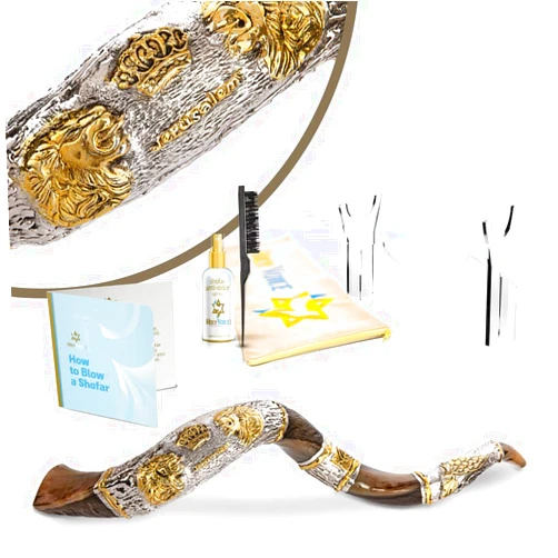 Holy Voice Sterling Silver-Plated Shofar Horn from Israel - Silver Plated Kudu Shofar with Shofar Stand, Carrying Bag, Brush, Anti-Odor Spray – Made in Israel. (43