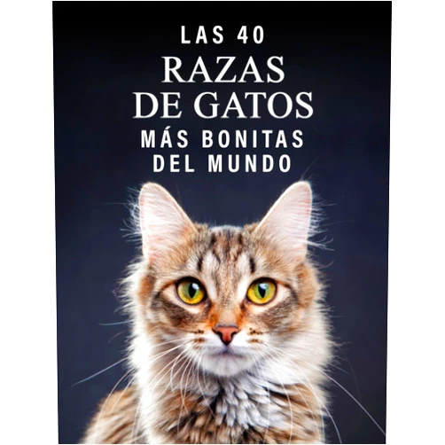 Libros de Trébol Azul Las 40 Razas de Gatos más Bonitas del Mundo: Un Libro de Fotografías a todo Color para Personas Mayores con Alzheimer o Demencia (La serie de libros ilustrados 