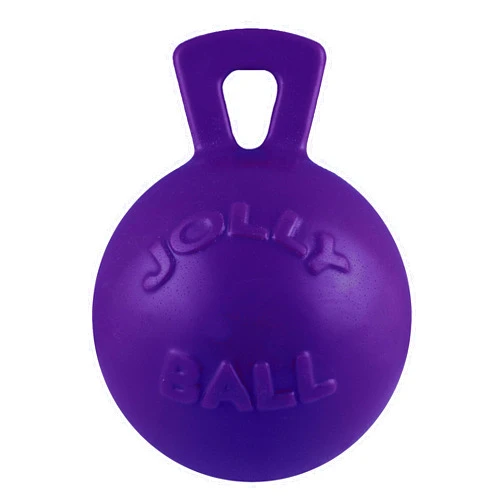 Jolly Pets Tug-n-Toss Heavy Duty Dog Toy Ball with Handle, 6 Inches/Medium, Purple