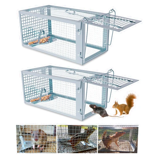 Wanqueen 2 Packs Humane Rat Trap Outdoor, Wanqueen Humane Mouse Traps Indoor, Small Rodent Chipmunk Squirrel Trap and Other Live Animal Cage Catch and Release