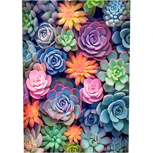 Acelii 5D Diamond Painting Kits for Adults Beginners,Colorful Succulent Plant Diamond Art Kit,DIY Full Round Drill Diamond Dot Gem Art Kits for Adults,Home Wall Decor 11.8x15.7 Inch