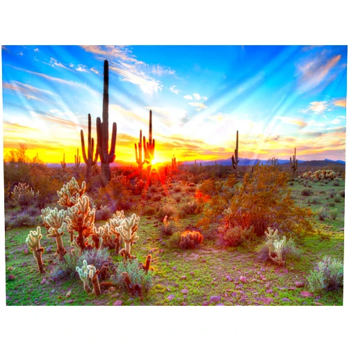 Tucocoo Arizona Desert Tapestry - Saguaro Cacti Mountains - Natural Plants - Cactus Tapestry for Room
