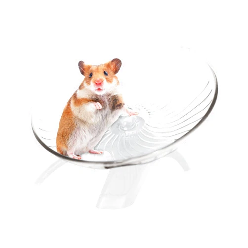BAOYAO Silent Hamster Wheel, 5inch Hermit Crabs Wheel Toy Hamster Running Wheel Playing Toy Hamster Exercise Sports Wheel Cage Decoration for Gerbils Squirrels Guinea(Size:13cm)