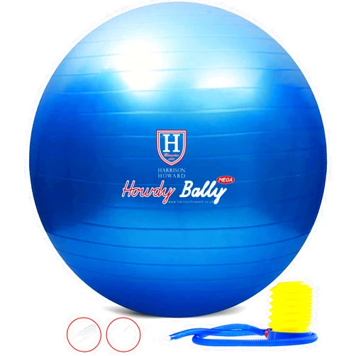 Harrison Howard Mega Horse Play Ball Anti-Burst Giant Horse Ball Horse Soccer Ball