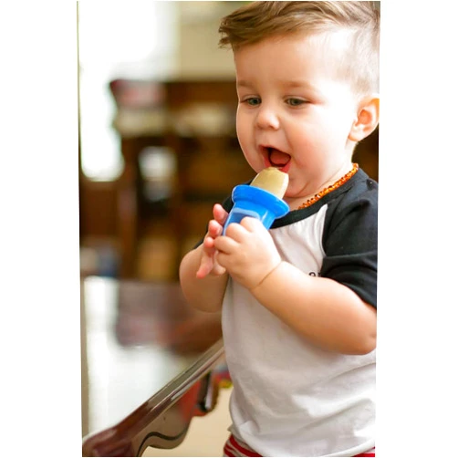 Nuby Garden Fruitsicle Replacement Handles, 4 Count, Muli-Color