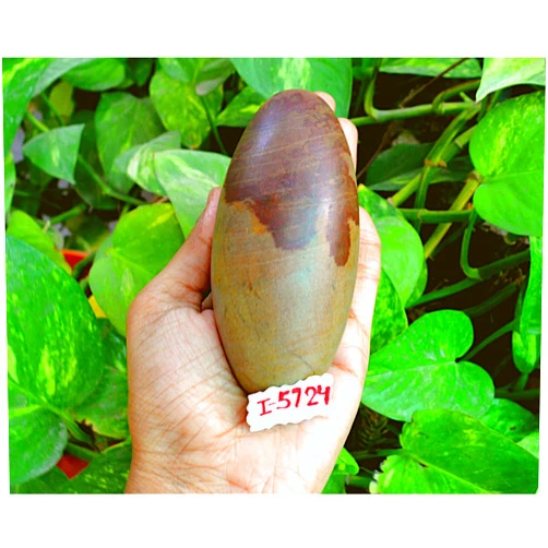 Shiva Lingam Shop Natural Narmadeshwar Shivling Narmada Shivlingam ~I-5724