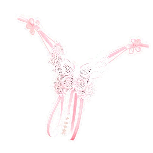 Zzalalana Women Sexy Sheer Mesh Lingerie Thongs for Sex Naughty Play Kawaii Butterfly Lace See Through G-String Panties