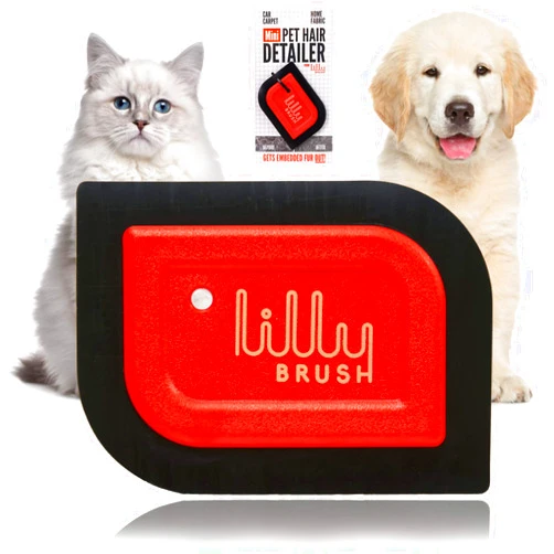 Lilly Brush Mini Pet Hair Detailer | Reusable Fur Remover for Car Interior, Carpet, Couch & Furniture