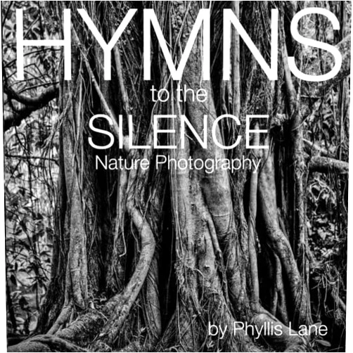 By Phyllis Lane (Author) Hymns to the Silence