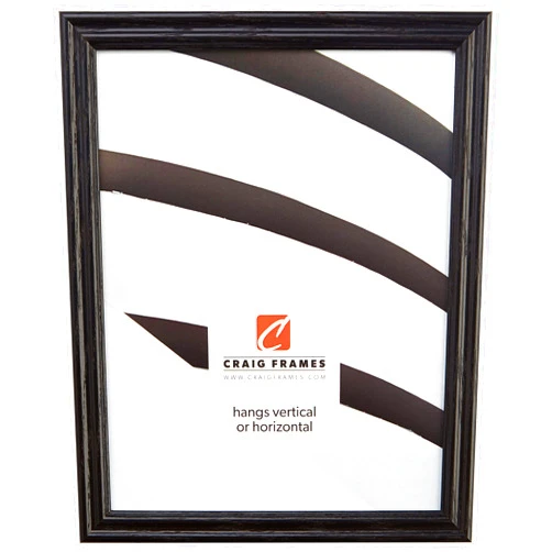 Craig Frames 200ASHBK 0.75-Inch Wide Picture/Poster Frame with Wood Grain Finish, 18 by 24-Inch, Black