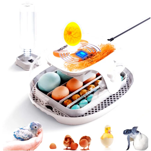 KAMHX Egg Incubator with Humidity Display,Automatic Egg Turner, LED Egg Candler,Egg Incubator 360°Clear View,Automatic Water Adding,16-35 Eggs Incubator for Hatching Chicken Eggs, Quail Eggs, Duck Eggs