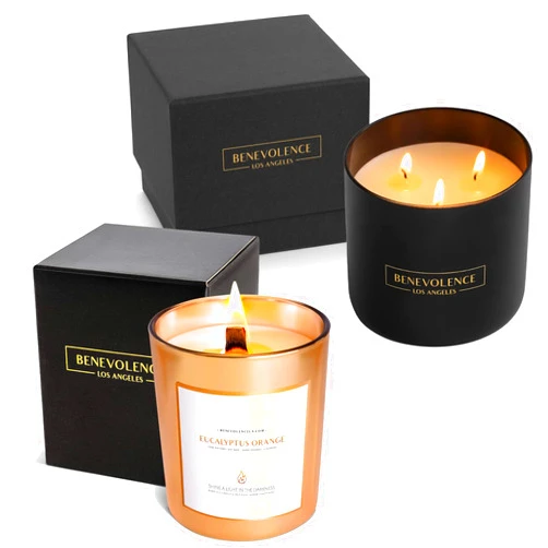 Benevolence LA Pine Wood 14.5 Oz Large Candle and Eucalyptus & Orange 6 Oz Scented Candles Bundle, Pine Scented Candles for Home, Eucalyptus Candle Men, 45 Hour Burn Natural Candles for Women