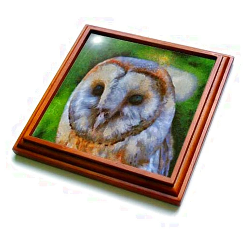 3dRose Taiche - Acrylic Art - Tawny Owl - Tawny Owl in Pointillism Art - Trivets (trv-378414-1)