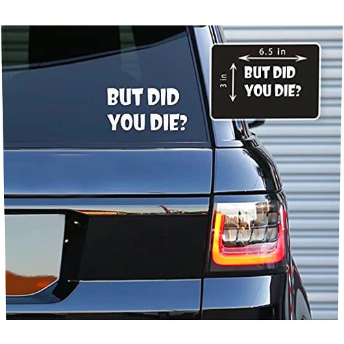 Printbeat But DID You Die Vinyl Decals Stickers for Cars, Van, Trucks, Laptop (White, 6.5