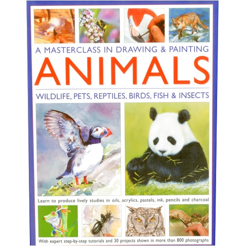 Jonathan Truss,Sarah Hoggett A Masterclass in Drawing and Painting Animals: Wildlife, pets, reptiles, birds, fish and insects