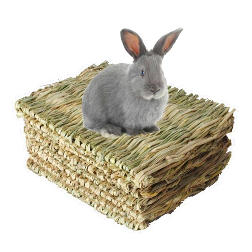 Kathson kathosn 8 PCS Bunny Grass Mat Natural Woven Pet Bed Nest Mats Rabbits Chew Toys for Hamsters Parrot Rabbits Hedgehog Guinea Pig Bunny and Other Small Animals