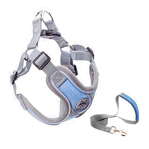 YCC Products Dog Harness with Leash Set, Adjustable Reflective Easy Control Medium Large Dog Harness with A Free Heavy Duty 5ft Dog Leash (XS ,Weight: 4.4-8.8lb, Chest: 11.0