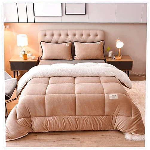 BDMFJY Super Warm Lamb Wool Queen Size Quilt Winter Blanket Double-Sided Velvet Quilt Thickened Warm Autumn Spring Plush Comforter Core, Plain Blanket,B,110x150cm(1kg)