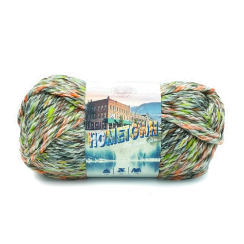 Lion Brand Yarn Hometown Yarn, Durham Woods (1 skein)