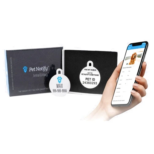 INTELLITAG Pet Notify Intellitag - Smart Pet ID Tag Recovery System for Dogs - Personalized Polished Stainless Steel Tag Engraved with Pet Name & Digital ID - Web Enabled Pet Vault App - Medium Dog Tag