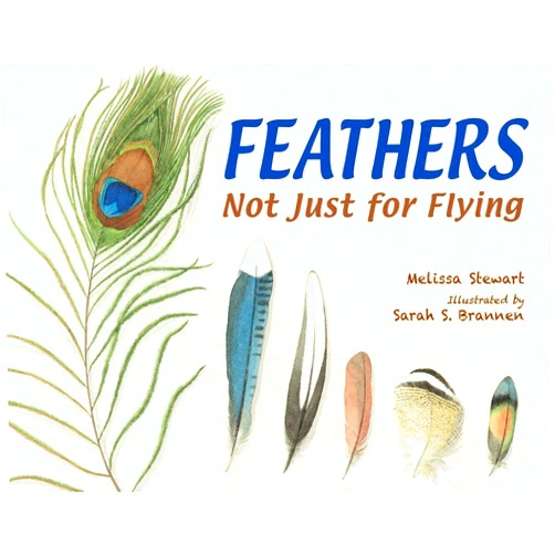 Melissa Stewart,Sarah S. Brannen Feathers: Not Just for Flying