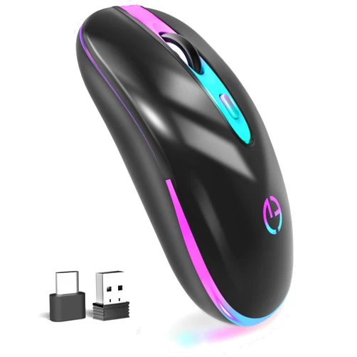 TaIYanG Wireless Mouse, 2.4G Portable Optical Quiet Cute Mouse with USB Receiver and Type C Adapter, 3 Adjustable DPI LED Wireless Mouse for Laptop, Computer, PC, MacBook, Desktop
