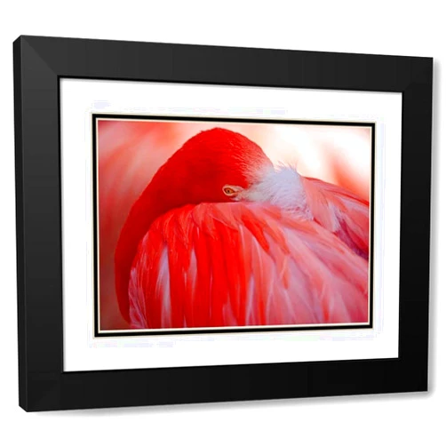 ArtDirect Wenner-Braun, Antje - EX_67_1514931 - Red