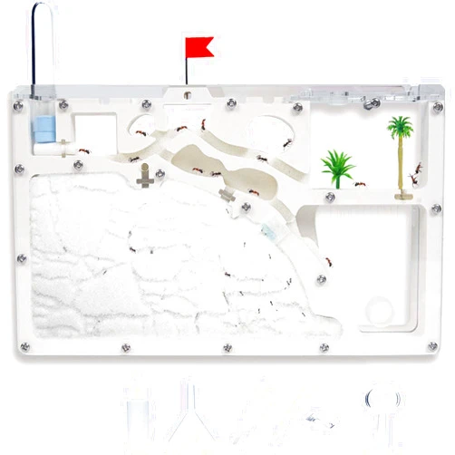 Wtsyant Ant Farm Castle - Large Viewing Area - Care for Live Ants - Ant Colony Observation Kits with Sand Habitat - Educational Science Gifts for Boys, Girls - Ant Farms for Kids, Adults