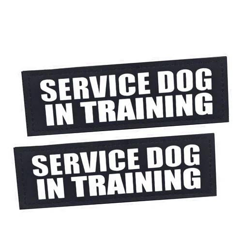 HANWER Service Dog Patches, 2Pack Black Removable Vest Patch for Dogs, Dog Patches with Hook Backing for Harness, Service Dog in Training-M