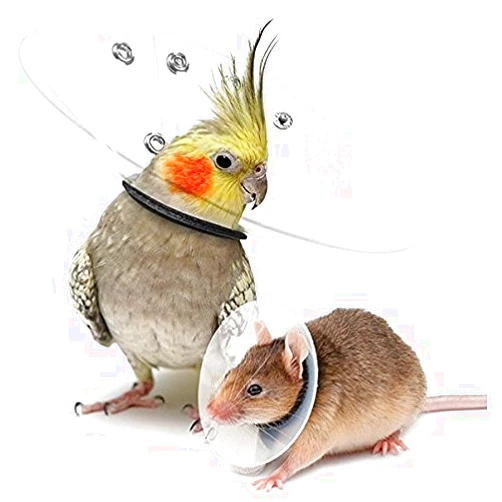 Safe-T-Sheild KVP Saf-T-Shield Recovery Collar for Rodents & Birds-Fits 3.4-4.0