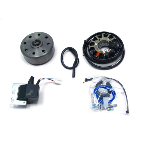 CRU Products Powerdynamo (MZ-B) VAPE Ignition Stator System Compatible with GS250 ETS-G 250 with Ignition AC