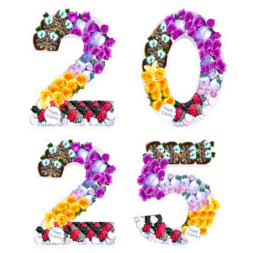 QRQR 12.2inch Fillable Cardboard Number Serving Tray Cut Out Charcuterie Sweet Food Decorative Paper Mache Box (2025)