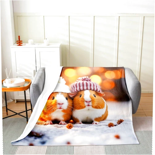 Castle Fairy Cute Cavy Throw Blanket Baby 30x40 3D Abstract Natural Wild Animals Fleece Blanket for Kids Teens Adults Lovely Creature Winter Rustic Themed Flannel Blanket for Housewarming