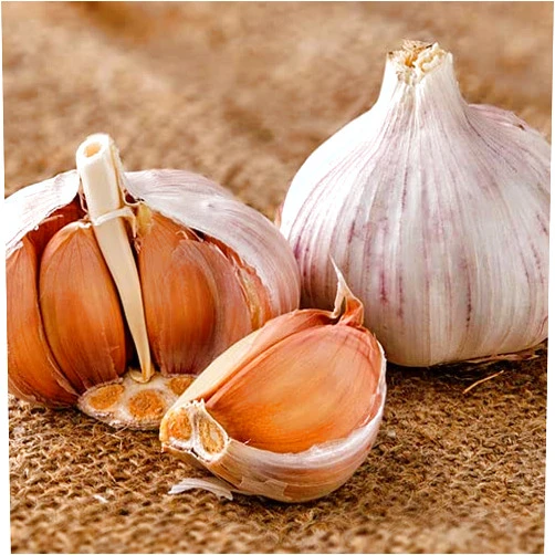 Dirt Goddess Organically Grown Garlic Bulbs Culinary/Table *Many Varieties* (1/2 Lb German Red)