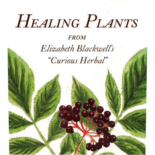 Marta McDowell Healing Plants: From Elizabeth Blackwell's A Curious Herbal (Tiny Folio)