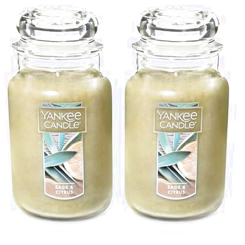 Yankee Candle Sage & Citrus Scented, 22oz Single Wick Candle, Over 110 Hours of Burn Time, Ideal for Home Decor and Gifts, Classic Large Jar, Ivory (Pack of 2)
