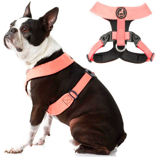 Gooby Comfort X Harness Dual Snap - Pink, Small - No Pull Small Dog Harness with Rotational Buckles and Patented Choke-Free X Frame - Dog Harness for Medium Dogs No Pull and Small Dogs