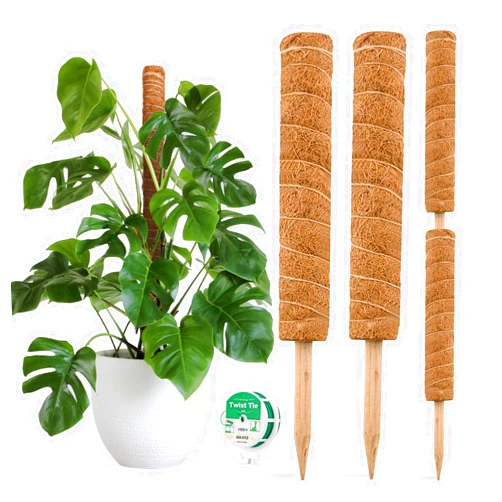 JOYSEUS 30 Inch Moss Pole for Climbing Plants - 2 Pack 15 Inch Coir Totem Pole Plant Support with 65 Feet Garden Twist Tie for Monstera and Potted Plants to Grow Upwards…