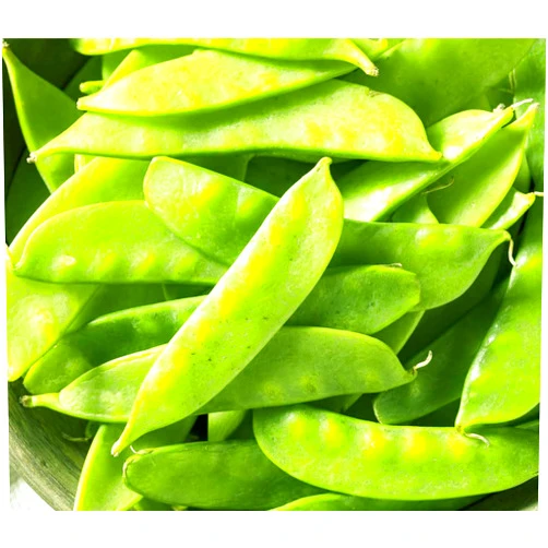 Marde Ross & Company Chinese Snow Pea Seeds - Heirloom Seeds - Non GMO - Neonicotinoid-Free