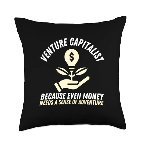 Investment Seeker Venture Capital Day Gift Venture Capitalist Because Even Money Needs Adventure Throw Pillow, 18x18, Multicolor