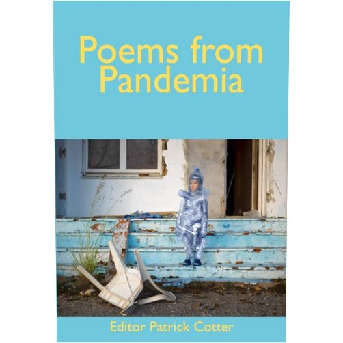 Patrick Cotter,Martín Espada,Eiléan Ní Chuilleanáin,David Harsent,Derek Mahon,Alan Shapiro,Rachael Allen,Sandra Beasley,Brian Turner,Thomas McCarthy Poems from Pandemia