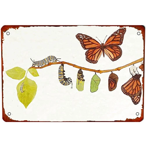 SHUDDHASAAR Monarch Butterfly Decor Life Cycle Vintage Metal Tin Sign Poster Retro Decor Art Man Cave Indoor & Outdoor Decor 8x12 Inch