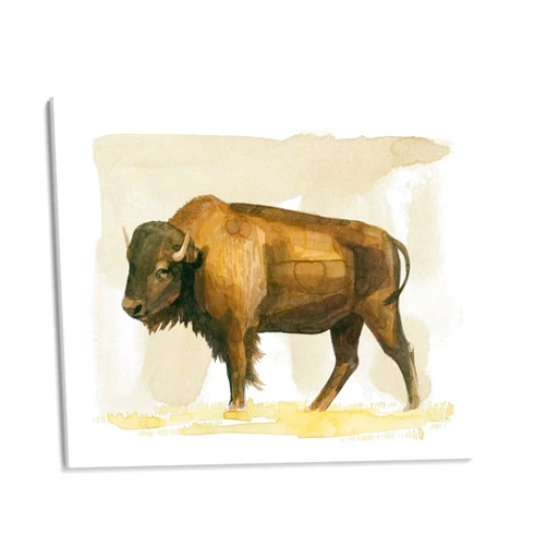 Canvas Lab Canvas Wall Art Decor Bison Watercolor Sketch II by the Artist Grace Popp – Size: 20 x 15 in - Art subject: Nature,Nature and animals