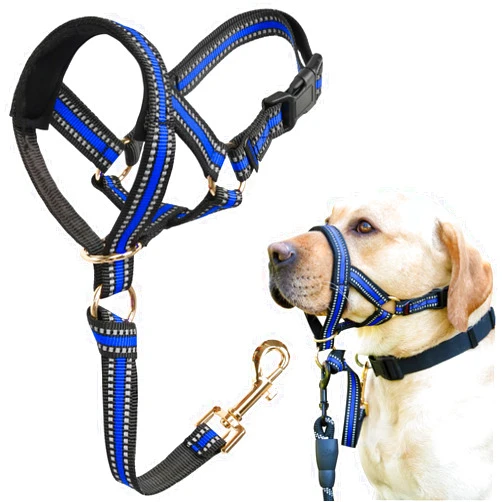 BARKLESS Muzzle Leash for Heavy Pullers, No Pull Stylish Head Halter for Medium Large Aggressive Dogs, Gentle Dog Face Harness Stops Pet Pulling and Choking on Walks, Adjustable Head Collar (M, Blue)