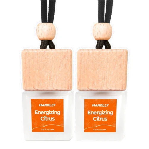 HANOLLY Car Air Freshener Hanging 2 Pack – Energizing Citrus Car Freshener Diffuser, Fall Car Air Freshener for Women and Men, Lasting up to 45 Days.0.27 FL OZ/8ML