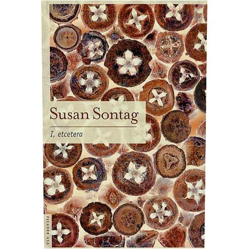 By Susan Sontag (Author) I, etcetera: Stories