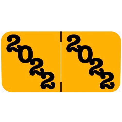 Doctor Stuff - 2022 Year Stickers, POS Compatible Series, Light Orange/Black Colored Year Labels for End Tab File Folders, 500/Roll, 1 Roll, 3/4